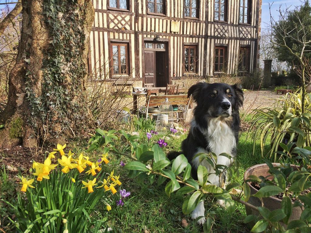 Le Petit Manoir De La Vernelle Bed and Breakfast Fourmetot Εξωτερικό φωτογραφία